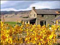 Autumn Gold